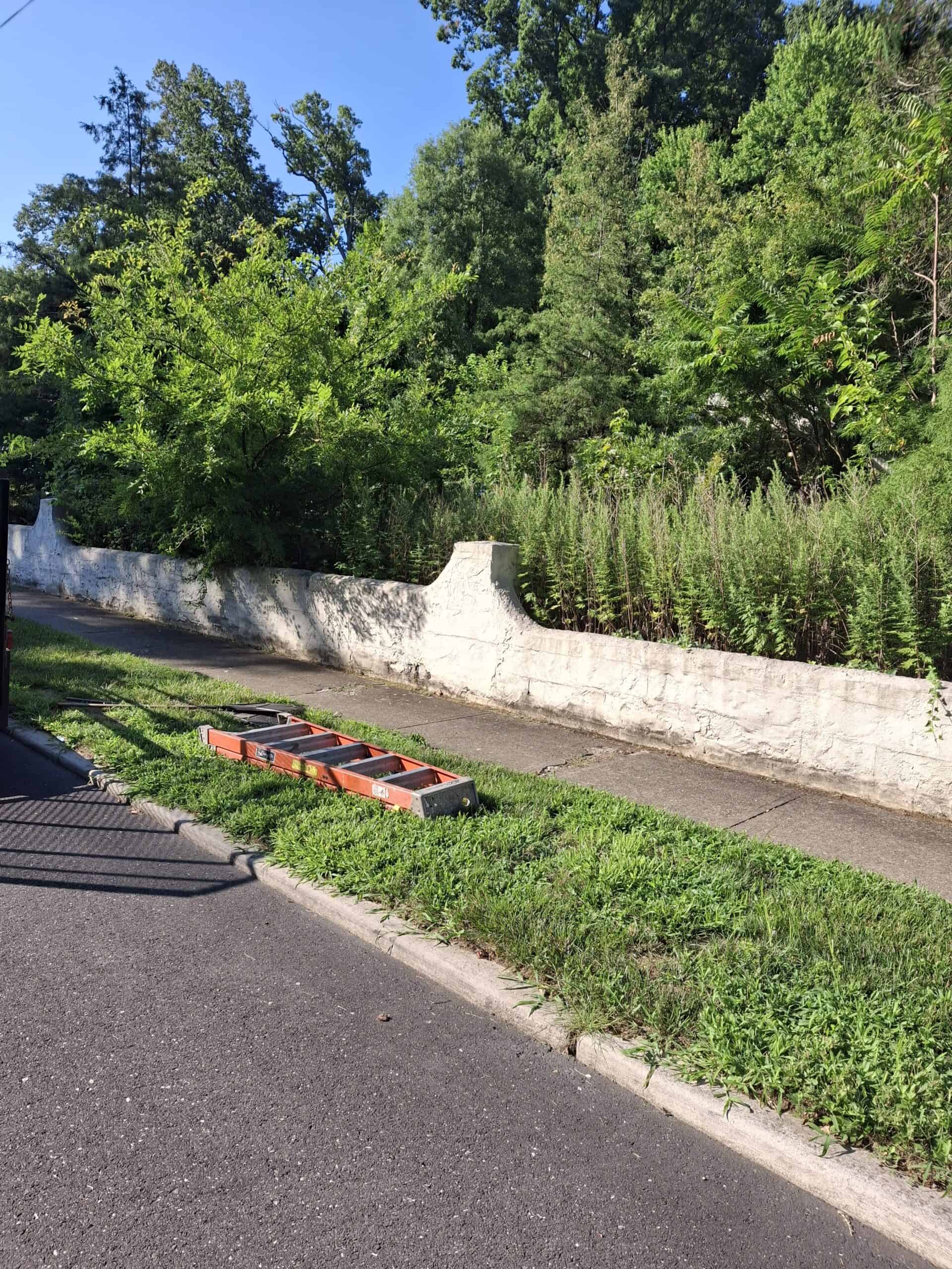 Beautiful outdoor landscaping and lawn maintenance in your neighborhood.