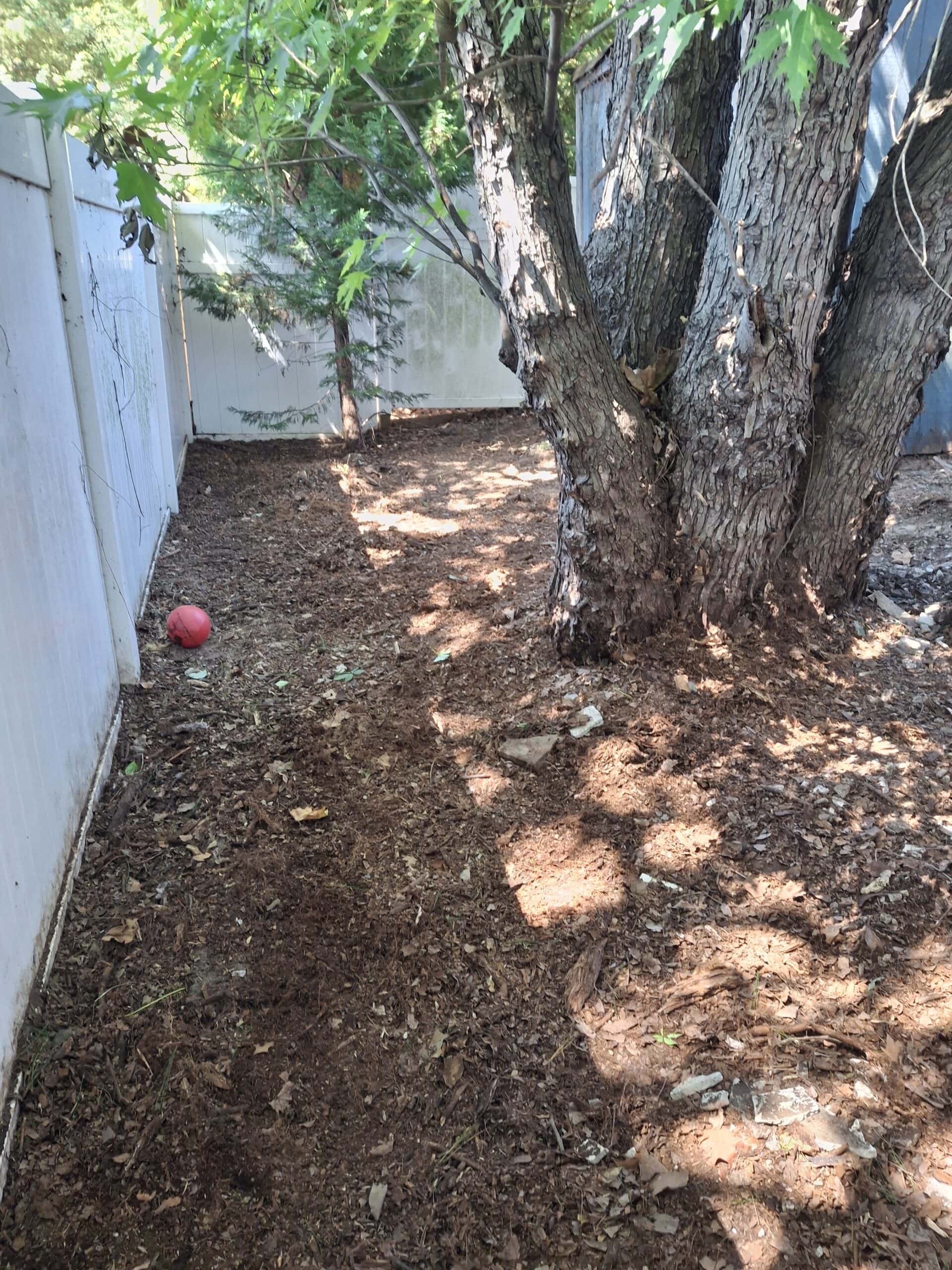 Tree removal, yard cleanup, and soil preparation for landscaping projects.