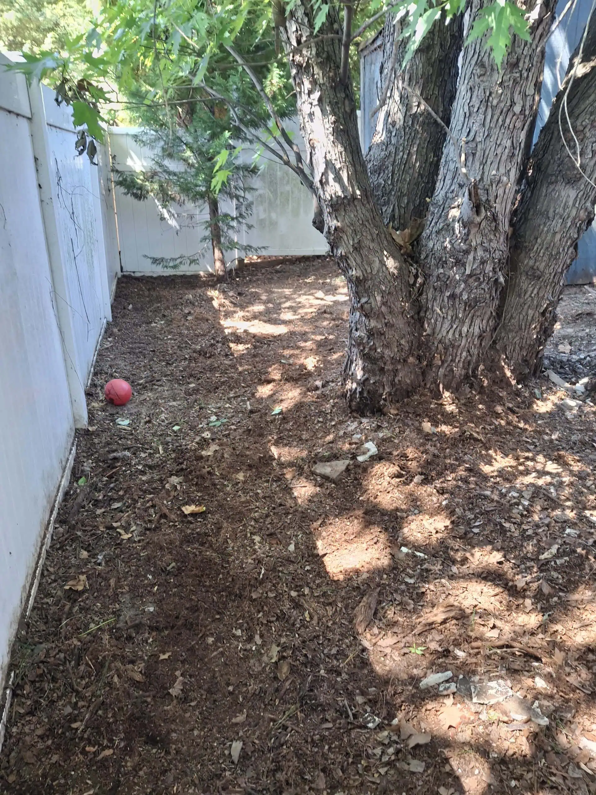 Tree removal, yard cleanup, and soil preparation for landscaping projects.