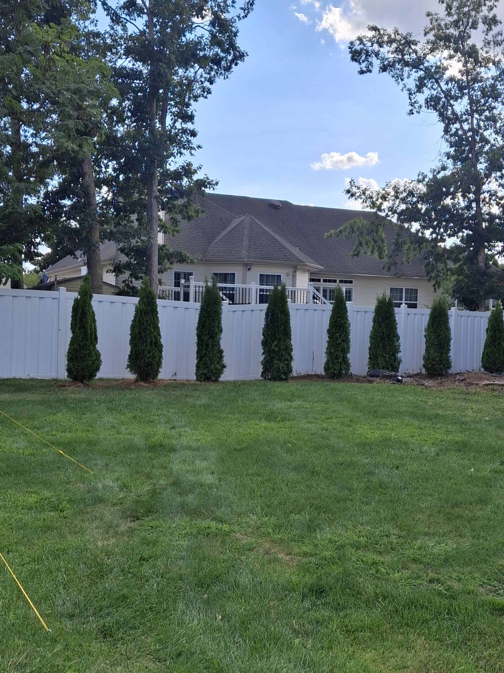 Beautiful backyard with tall evergreen trees, well-maintained lawn, and privacy fencing.