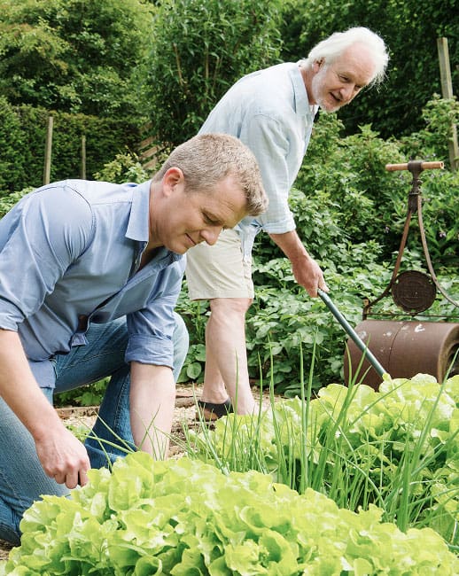 High-quality lawn and garden care services in JDO's Landscaping and Lawn Service LLC.