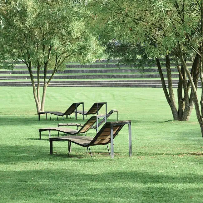 Beautiful manicured lawn with modern lounge chairs under trees for outdoor relaxation and leisure.