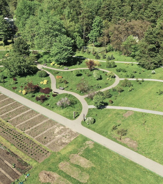 Aerial shot of a beautifully landscaped garden with winding pathways and lush greenery, showcasing expert lawn and landscaping services.