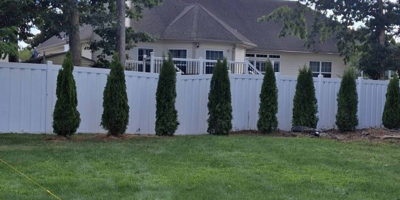 Beautiful backyard with tall evergreen trees, well-maintained lawn, and privacy fencing.